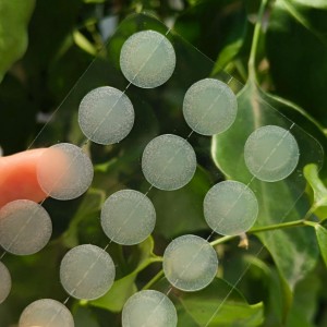 1 Cái/15Dots/24Dots Giải pháp trị mụn bằng kim: Miếng dán trị mụn hiệu quả độc đáo